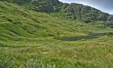 属龙和属马生属虎宝宝好不好 属龙和属马生什么属相孩子好