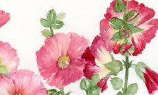 2022年阴历3月最吉利的动土日子 动土黄道吉日