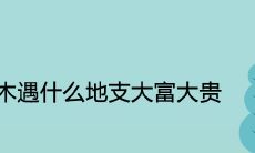 甲木遇什么地支大富大贵 见什么贵人发财
