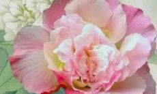 2022年阴历2月最好最吉利的动土吉日 建房动土吉日吉时