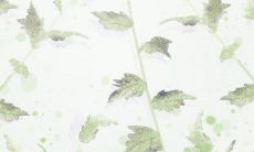 人际交往中你为何频频出错？