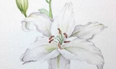 2022虎年二月份吉利建房动土日期 开工动土上等吉日