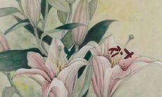 2022虎年三月份最佳动土日期 建房动土大吉之日