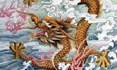 生肖属龙和属猪相配吗 在一起会幸福吗