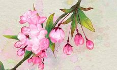 2022年农历二月份宜建房动土吗？哪些日子是动土吉日