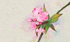 2022年农历2月适合建房吉利日子 宜动土吉利日子