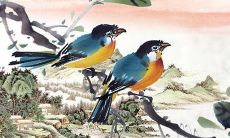 2022年公历3月建房动土最吉利日子 宜动土的吉利日子