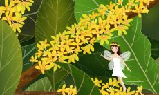 十二生肖2022年运势如何 各个生肖运势好坏分析