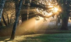 生肖马沙中金命2022年运势 事业停滞不前