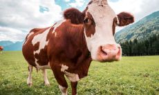 73年女生肖牛2022年运势 事业旺盛