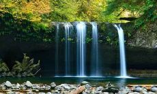 1940年出生是什么命 1940年属龙是什么命