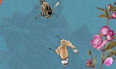 2022年10月28日适合入宅吗 入新宅吉利吗