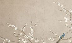 2022年10月24日入宅合适吗 今日宜忌查询