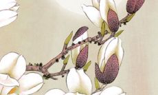 2022寅虎年阴历十月最适合入宅搬家的日期 乔迁吉日查询