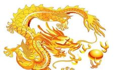 52年出生的龙人在2023年婚姻感情好不好