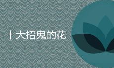 十大招鬼的花 哪些花不能养会破财招灾