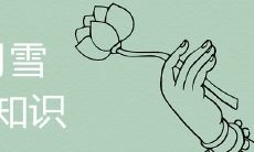 六月雪盆景不吉利是真的吗 如何养护招财旺运