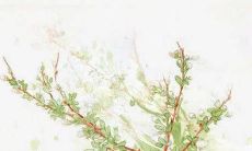 2022年阴历4月动土上等佳期 动工动土好日子