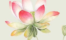 2022寅虎年阴历5月适合动土的吉利日子 适合建房动土良机