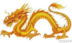 属龙忌配什么生肖属相 属龙人的三最忌讳的配属相