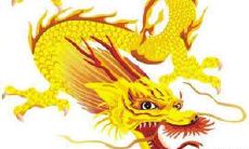 1988两个属龙人结婚怎么样 起合适吗