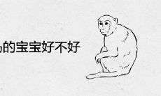 属猴生属马的宝宝好不好