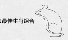 一家四口最佳生肖组合