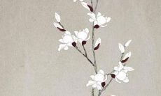 亲姐姐36岁本命年送什么好 本命年可戴红绳消灾解难