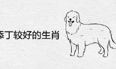 2022年添丁较好的生肖