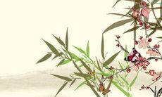 2022年出生五行属什么 生肖虎进财顺利出其不意