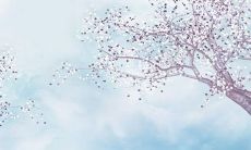 2022年的虎命里缺啥 虎宝宝事业爱情双丰收