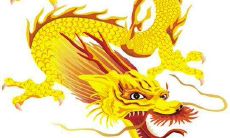 1988年属龙的人一生的三大坎是什么