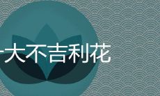 十大不吉利花不能养在家里