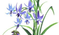 2022年9月27日提新车好不好 今日是黄道吉日吗