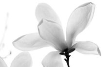 2022年9月16日提新车好不好 今日是黄道吉日吗