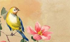 黄道吉日查询:2022年9月15日可以提新车吗