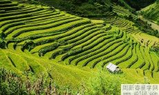 属龙的可以生虎宝宝吗 龙虎相斗好不好