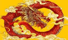 1964年属龙人的今年财运如何，2022年财运详解