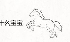 90马和94狗生什么宝宝