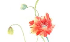 2022年9月21日提车好不好 是提新车的大吉日子吗