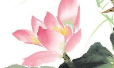 2022年9月22日提车好吗 购置新车好不好