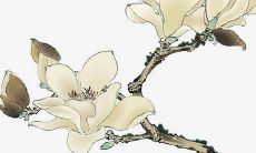 2022年9月28日是提车好日子吗 买车提车合适吗