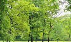 属龙男人2022年1月财运预测分析如何？