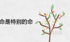 为什么四两命是特别的命 是富贵命吗