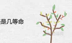 建禄格是几等命 是大富大贵命格吗