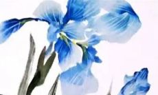 2022年8月23日处暑动土好不好 是建房动土吉利日子吗