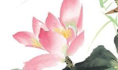 2022年8月14日适合动土吗 建房开工合不合适