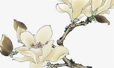 2022年8月21日可以动土吗 老黄历查询