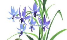 2022年8月20日动土好吗 是黄道吉日吗