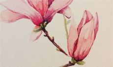 2022年8月19日是动土黄道吉日吗 好日子看八字